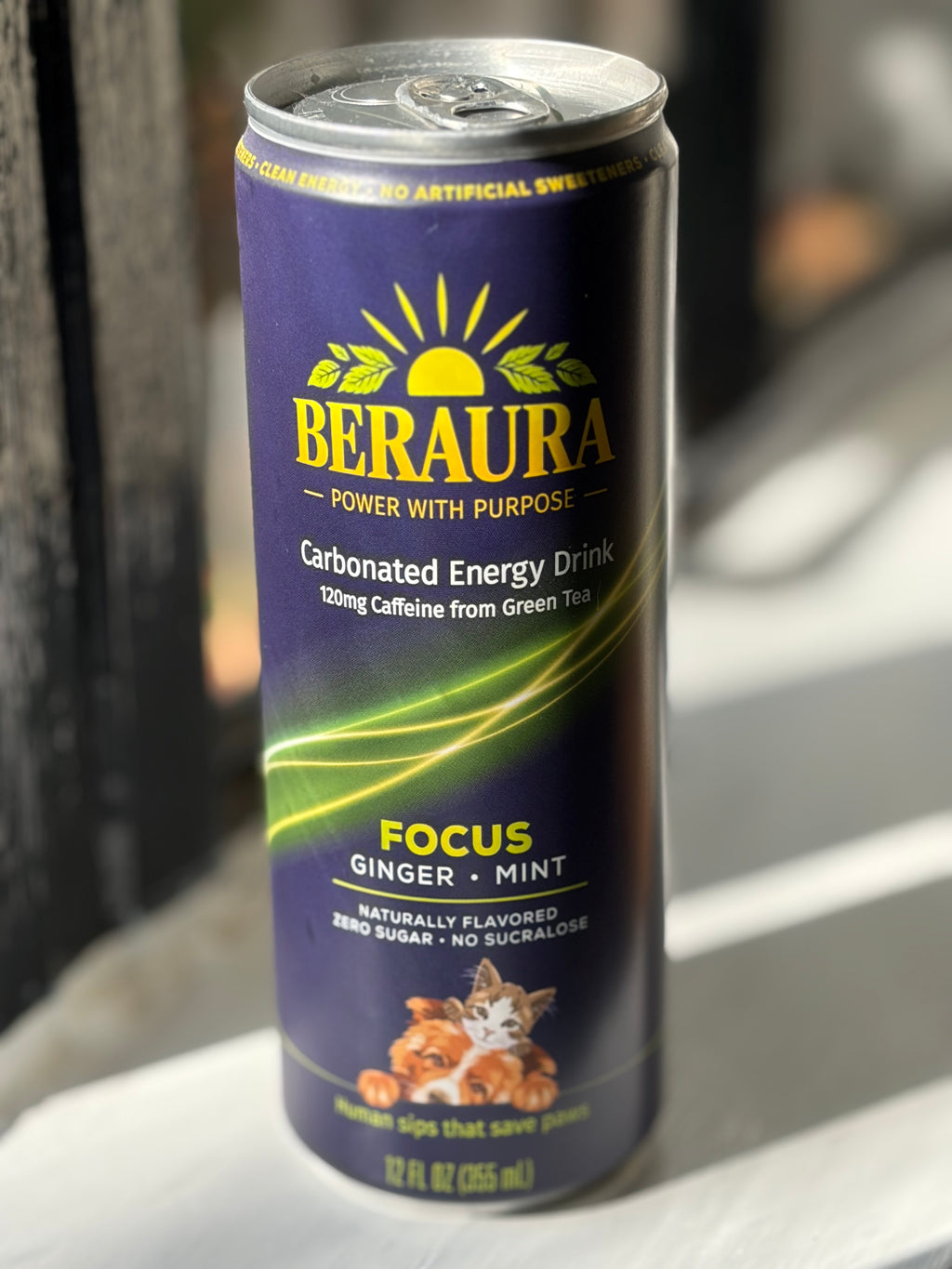BERAURA FOCUS Ginger Mint Carbonated Energy Drink