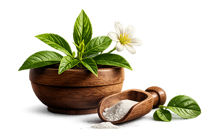 Stevia leaves and sweetener ingredients representing BERAURA’s no artificial sweeteners claim.
