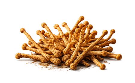 Icon: small pile of dried cordyceps mushrooms