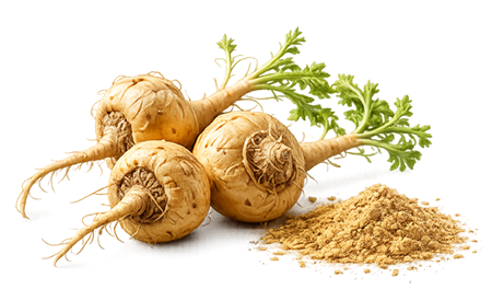 Icon: three pieces of whole maca root, and powdered maca root extract