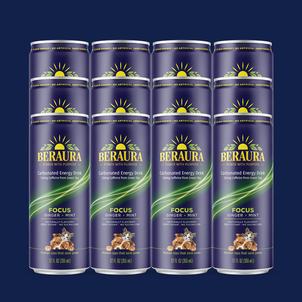 BERAURA FOCUS Ginger Mint 12-pack of zero sugar carbonated energy drinks with 120 mg natural caffeine from green tea.