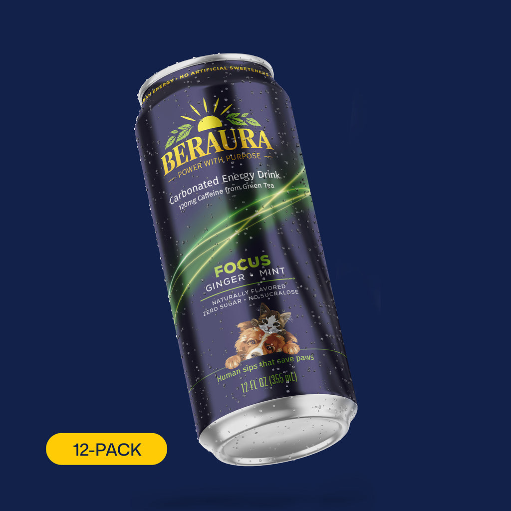 BERAURA FOCUS Ginger Mint 12-pack, zero sugar carbonated energy drink with 120 mg natural caffeine from green tea.