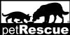 Pet Rescue New York